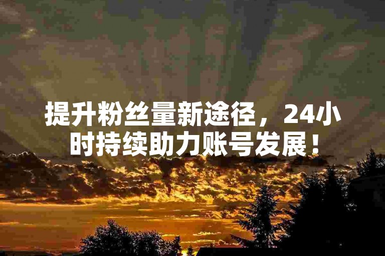 提升粉丝量新途径，24小时持续助力账号发展！
