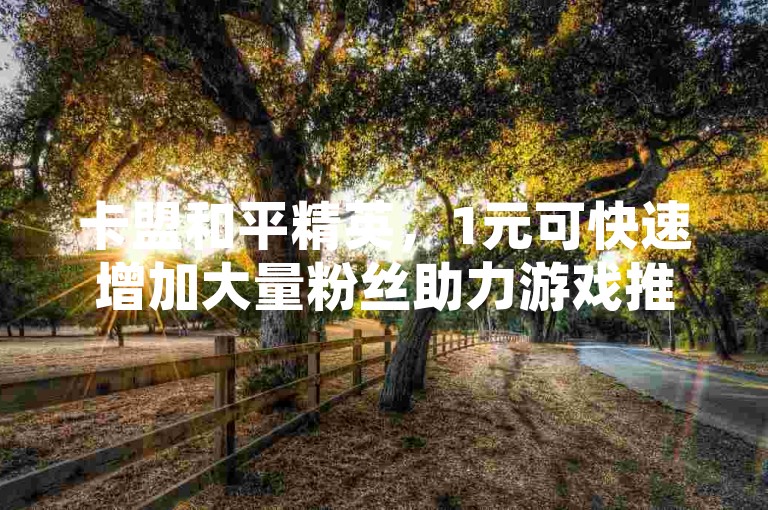 卡盟和平精英，1元可快速增加大量粉丝助力游戏推广