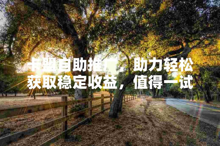 卡盟自助推广，助力轻松获取稳定收益，值得一试。