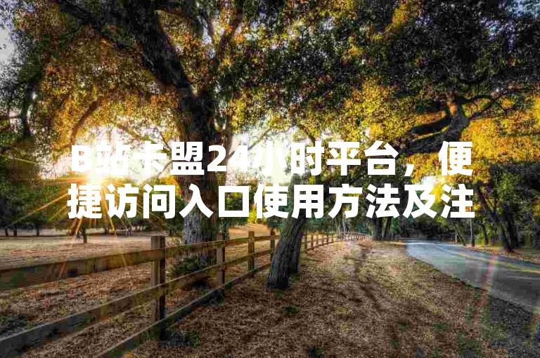 B站卡盟24小时平台，便捷访问入口使用方法及注意事项详解。