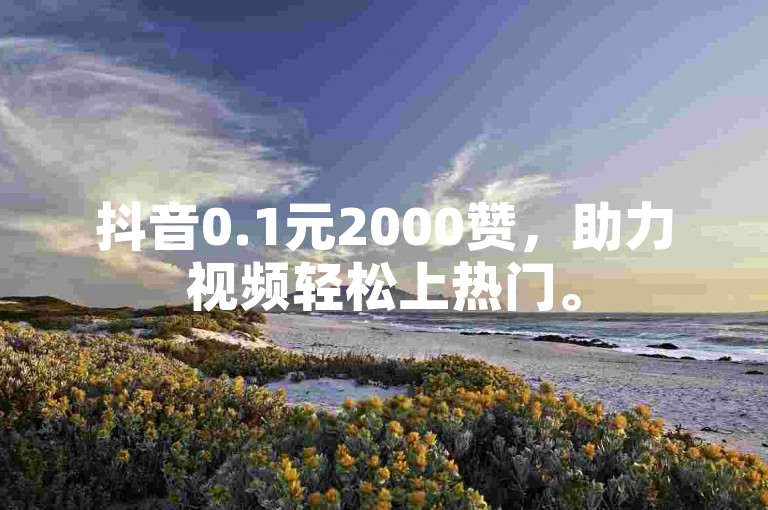 抖音0.1元2000赞，助力视频轻松上热门。