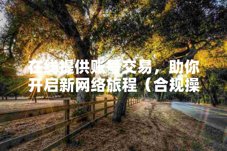 在线提供账号交易，助你开启新网络旅程（合规操作）。