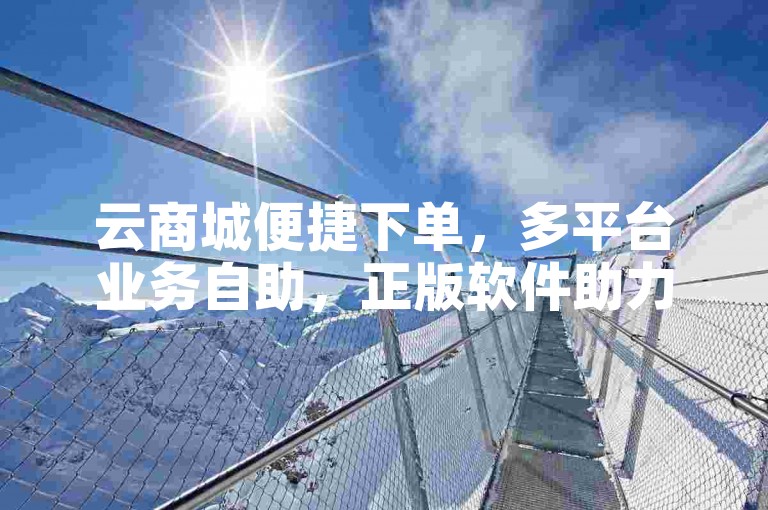云商城便捷下单，多平台业务自助，正版软件助力流量。