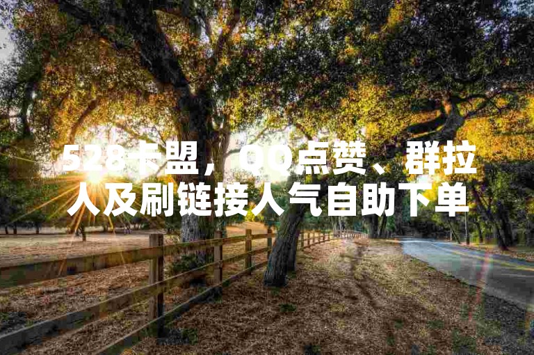 528卡盟，QQ点赞、群拉人及刷链接人气自助下单教程