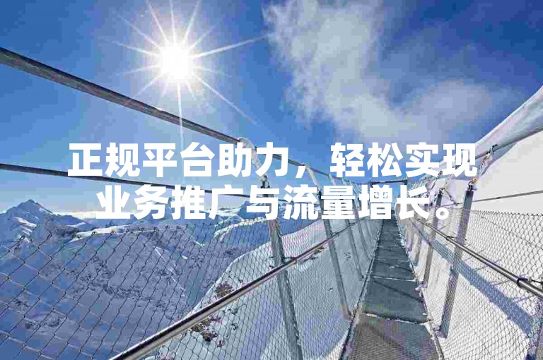 正规平台助力，轻松实现业务推广与流量增长。