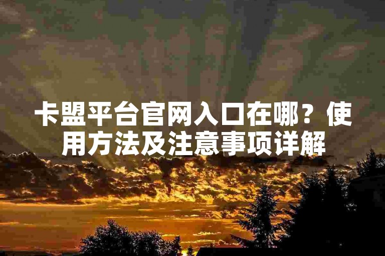卡盟平台官网入口在哪？使用方法及注意事项详解