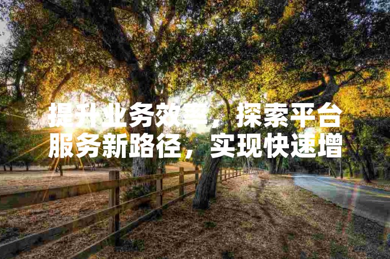 提升业务效率，探索平台服务新路径，实现快速增长。