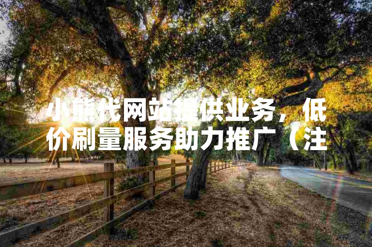 小熊代网站提供业务，低价刷量服务助力推广（注，此仅为示例，实际不建议参与此类违规操作）