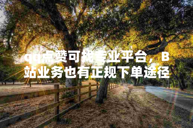 qq点赞可找专业平台，B站业务也有正规下单途径。