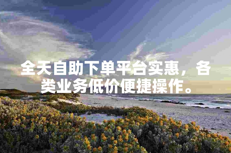全天自助下单平台实惠，各类业务低价便捷操作。