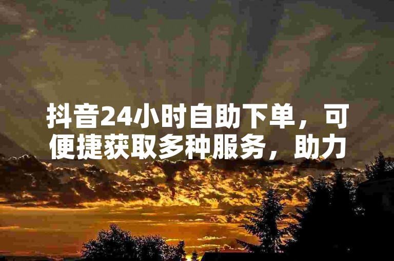 抖音24小时自助下单，可便捷获取多种服务，助力账号运营。