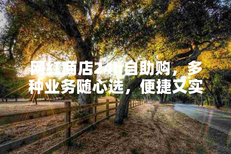 网红商店24h自助购，多种业务随心选，便捷又实惠。