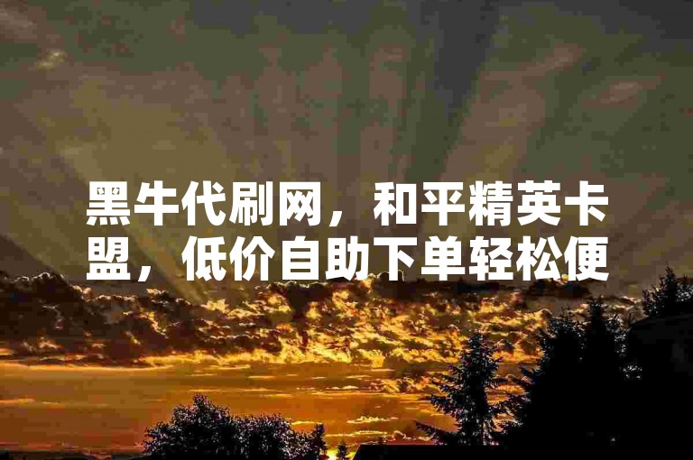 黑牛代刷网，和平精英卡盟，低价自助下单轻松便捷。