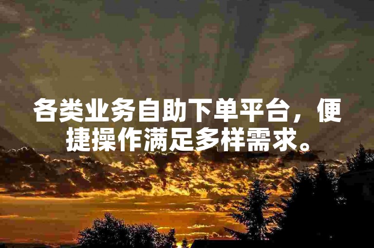各类业务自助下单平台，便捷操作满足多样需求。