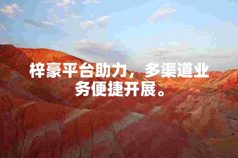 梓豪平台助力，多渠道业务便捷开展。