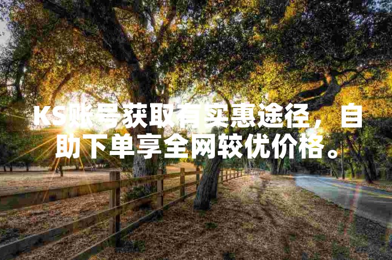 KS账号获取有实惠途径，自助下单享全网较优价格。
