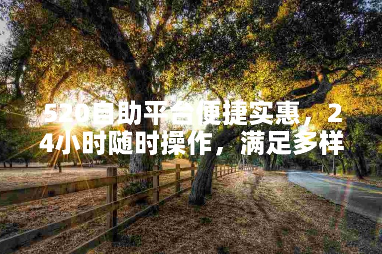 520自助平台便捷实惠，24小时随时操作，满足多样需求。