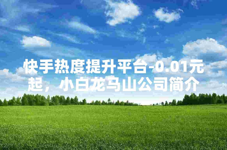快手热度提升平台-0.01元起，小白龙马山公司简介