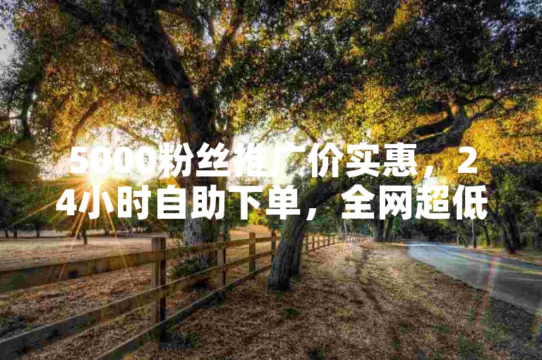 5000粉丝推广价实惠，24小时自助下单，全网超低价。