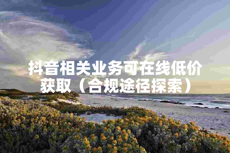 抖音相关业务可在线低价获取（合规途径探索）