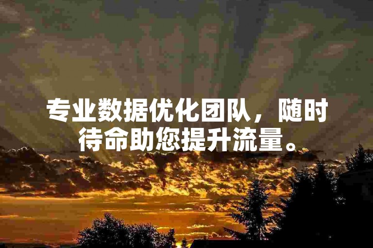 专业数据优化团队，随时待命助您提升流量。