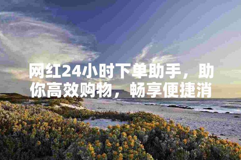 网红24小时下单助手，助你高效购物，畅享便捷消费新体验！