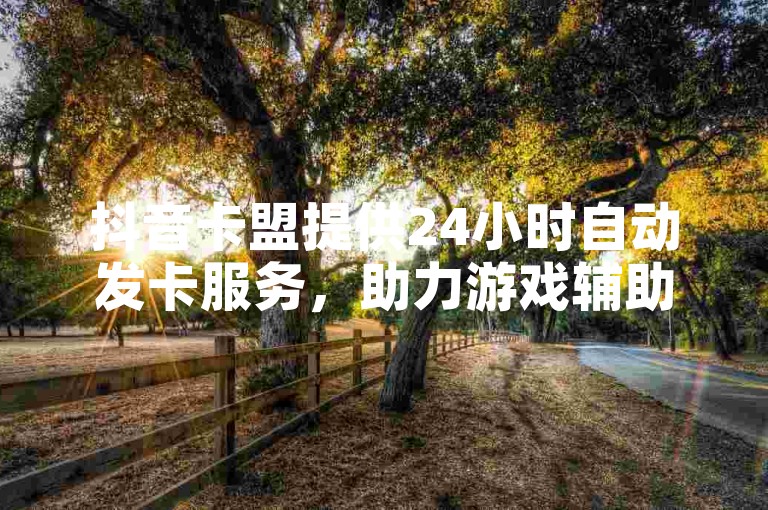 抖音卡盟提供24小时自动发卡服务，助力游戏辅助便捷获取。