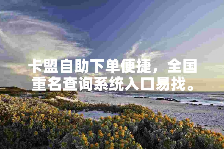 卡盟自助下单便捷，全国重名查询系统入口易找。