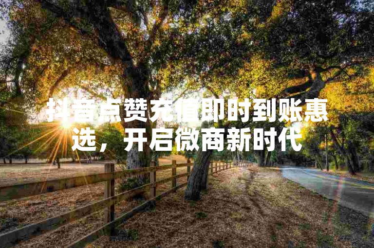 抖音点赞充值即时到账惠选，开启微商新时代