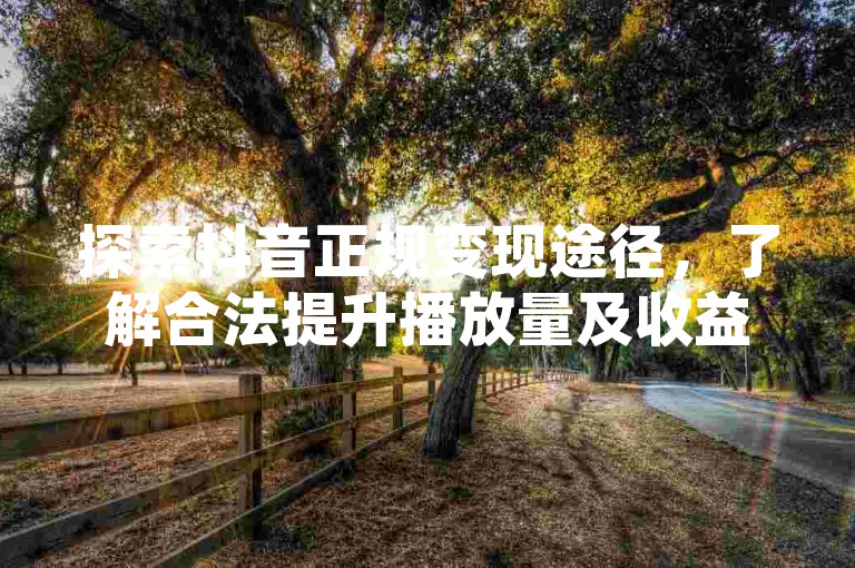 探索抖音正规变现途径，了解合法提升播放量及收益的方法。