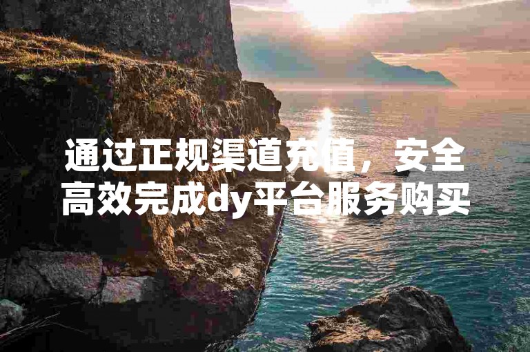 通过正规渠道充值，安全高效完成dy平台服务购买