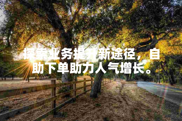 探索业务提升新途径，自助下单助力人气增长。