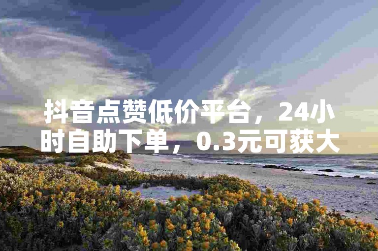 抖音点赞低价平台，24小时自助下单，0.3元可获大量赞
