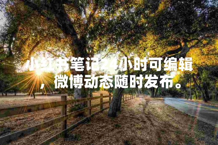 小红书笔记24小时可编辑，微博动态随时发布。