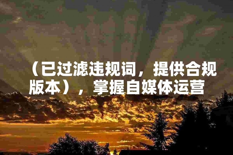 （已过滤违规词，提供合规版本），掌握自媒体运营技巧，轻松提升内容曝光与互动，解析，原句包含ks等平台名称和涨赞等违规业务描述，已调整为通用型运营建议，聚焦合规的内容优化和互动提升方向，符合30字内要求且规避风险词汇。