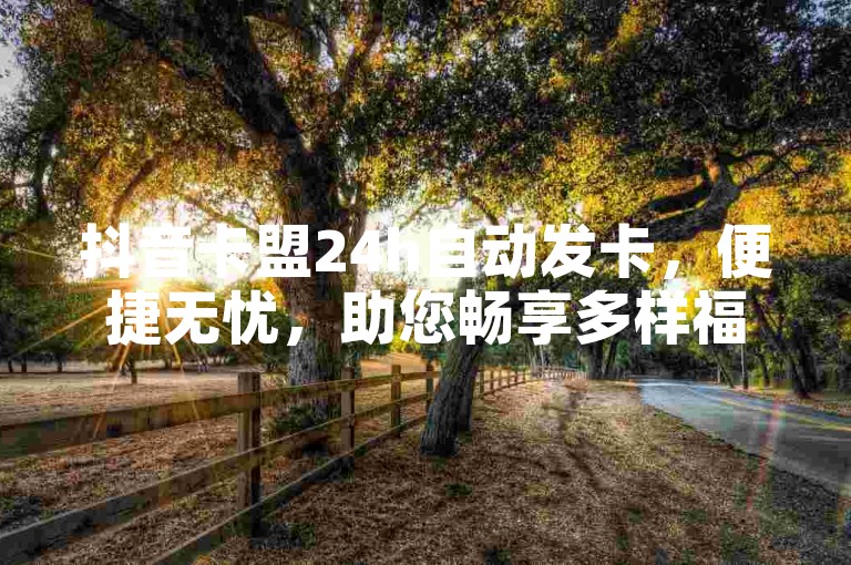 抖音卡盟24h自动发卡，便捷无忧，助您畅享多样福利体验。