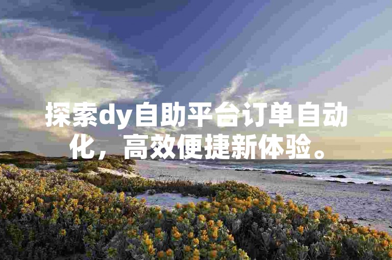 探索dy自助平台订单自动化，高效便捷新体验。