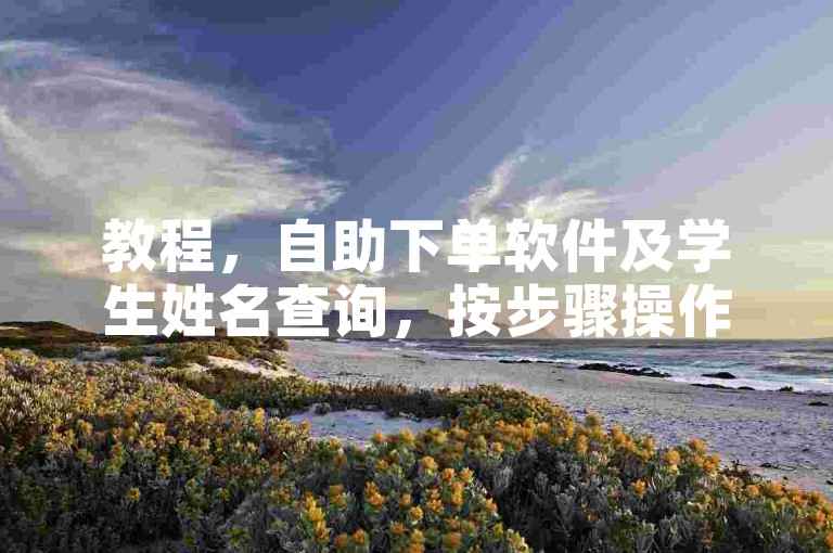 教程，自助下单软件及学生姓名查询，按步骤操作即可。