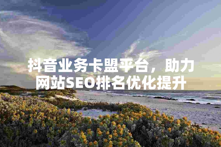 抖音业务卡盟平台，助力网站SEO排名优化提升