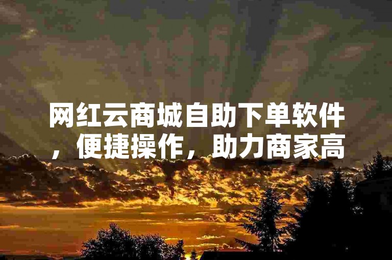 网红云商城自助下单软件，便捷操作，助力商家高效管理订单！