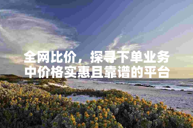 全网比价，探寻下单业务中价格实惠且靠谱的平台服务。