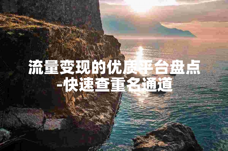 流量变现的优质平台盘点-快速查重名通道