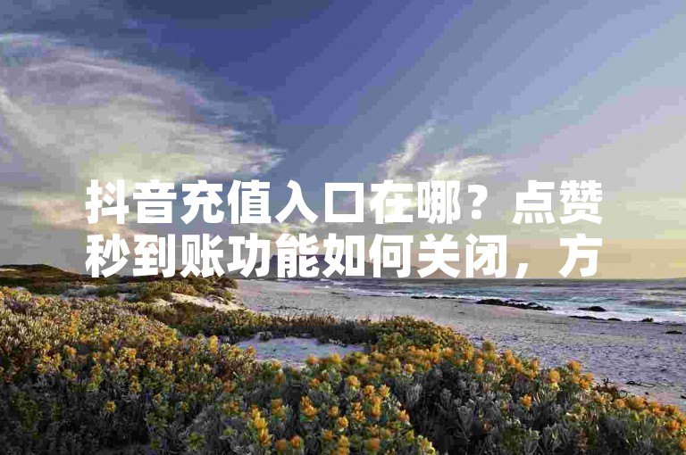抖音充值入口在哪？点赞秒到账功能如何关闭，方法来了！