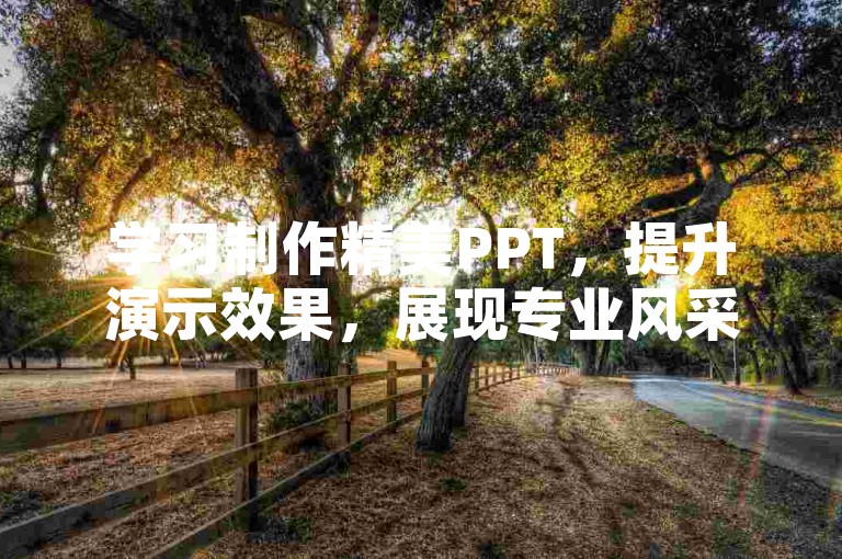 学习制作精美PPT，提升演示效果，展现专业风采。