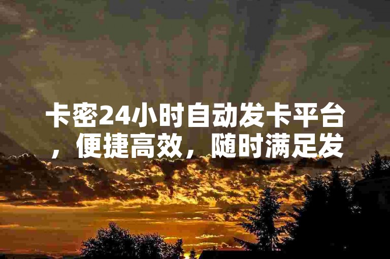 卡密24小时自动发卡平台，便捷高效，随时满足发卡需求。