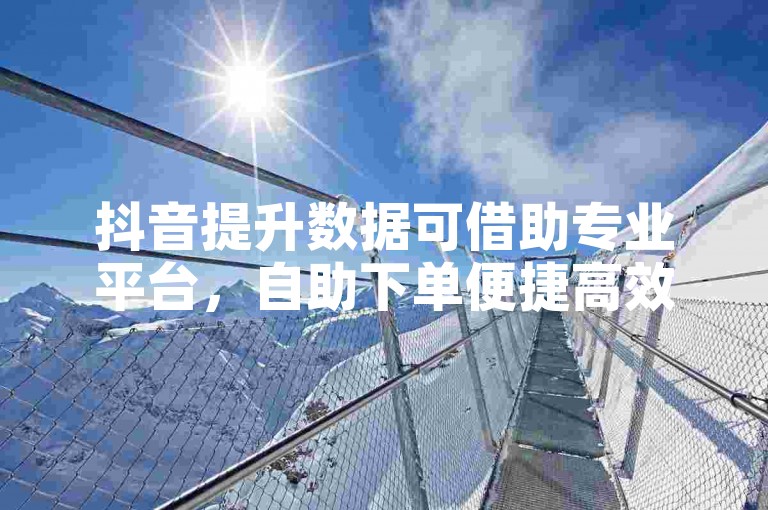 抖音提升数据可借助专业平台，自助下单便捷高效。