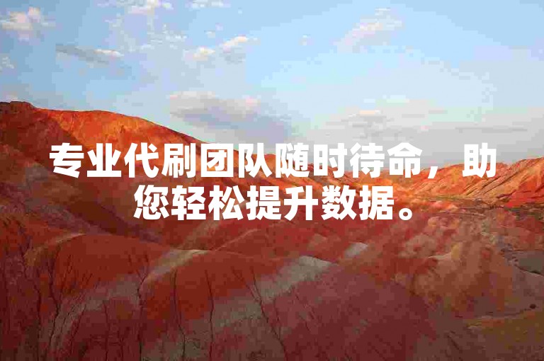 专业代刷团队随时待命，助您轻松提升数据。