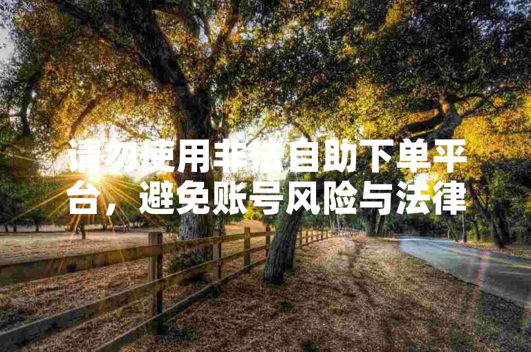 请勿使用非法自助下单平台，避免账号风险与法律问题。