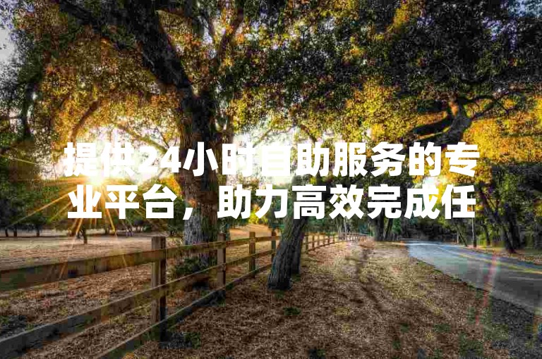 提供24小时自助服务的专业平台，助力高效完成任务。
