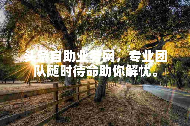 头条自助业务网，专业团队随时待命助你解忧。
